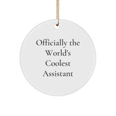 Funny Assistant Gifts for Men, Officially the World's Coolest Assistant Circle Ornament from Family - Image 1
